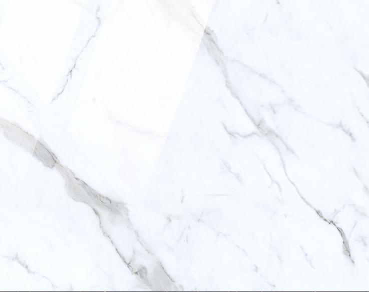 5009 Stone Grain Panel